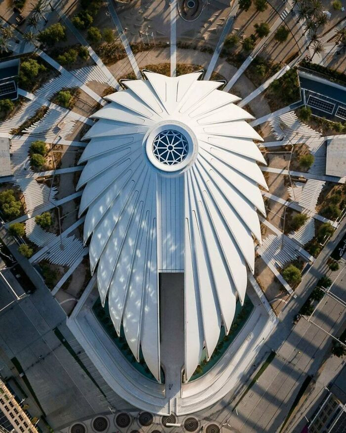 "Uae Pavilion At Expo 2020 Dubai By Santiago Calatrava"