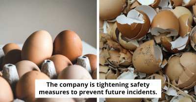 Deadly Bacteria Found At California Facility Triggers 20 Million Egg Recall