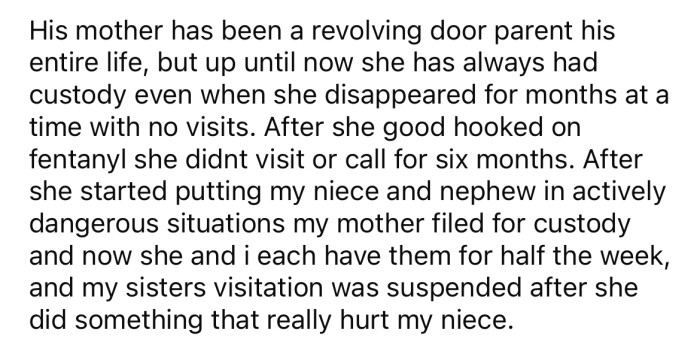 Nowadays, the OP and her mother have custody of her nephew and niece.