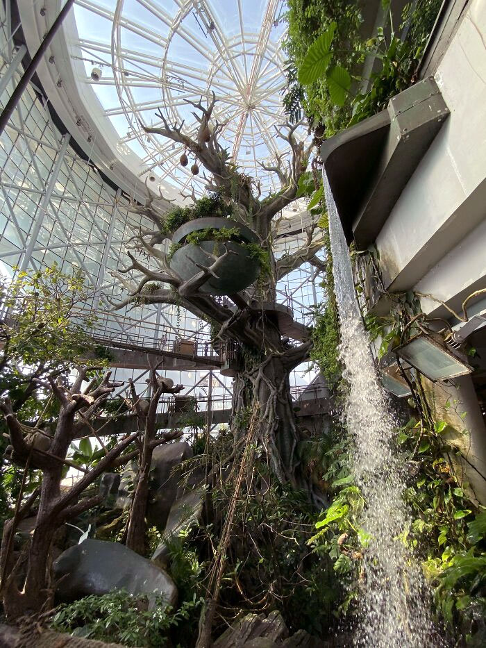 8. Green Planet In Dubai