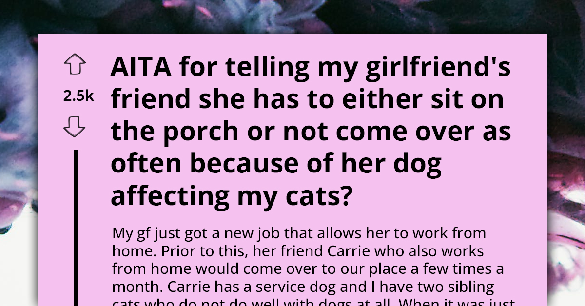 Redditor Lashes Out At Girlfriend’s Pal For Demanding They Evict Their Beloved Felines To Accommodate Her Overly Frequent Visits With Her Service Dog