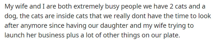 Due to their busy schedules, including the demands of raising their daughter and launching a business, a couple finds themselves unable to devote adequate time and attention to their two indoor cats.