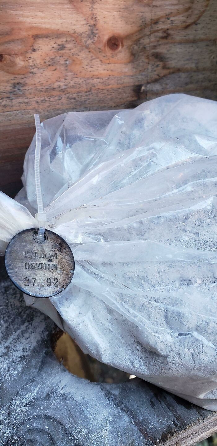 28. These homeowners must have been shocked to find the original owners of the house in their walls