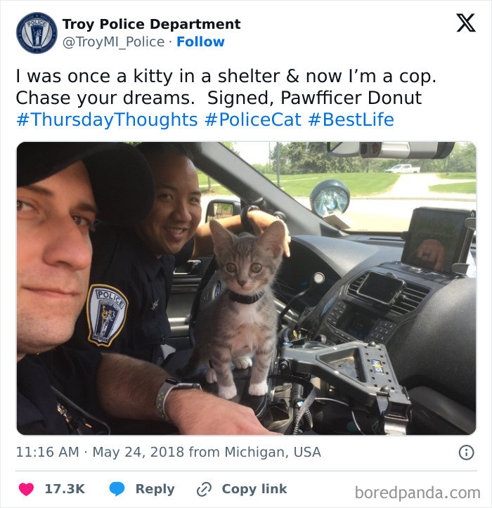 "Okay, But Who Thought Of “Pawfficer Donut”?"