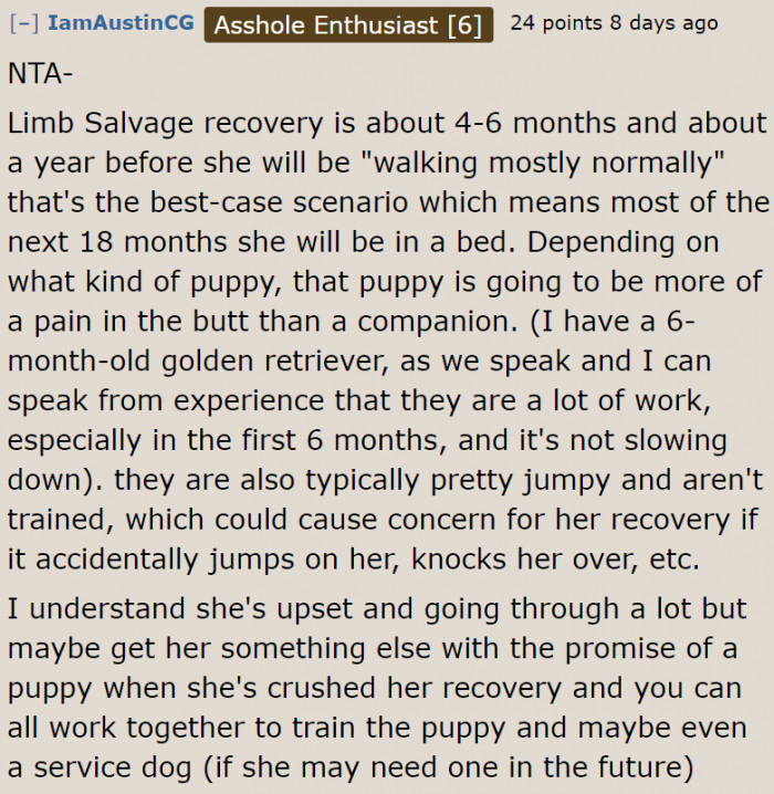 They can always get a puppy. But now is not a good time.