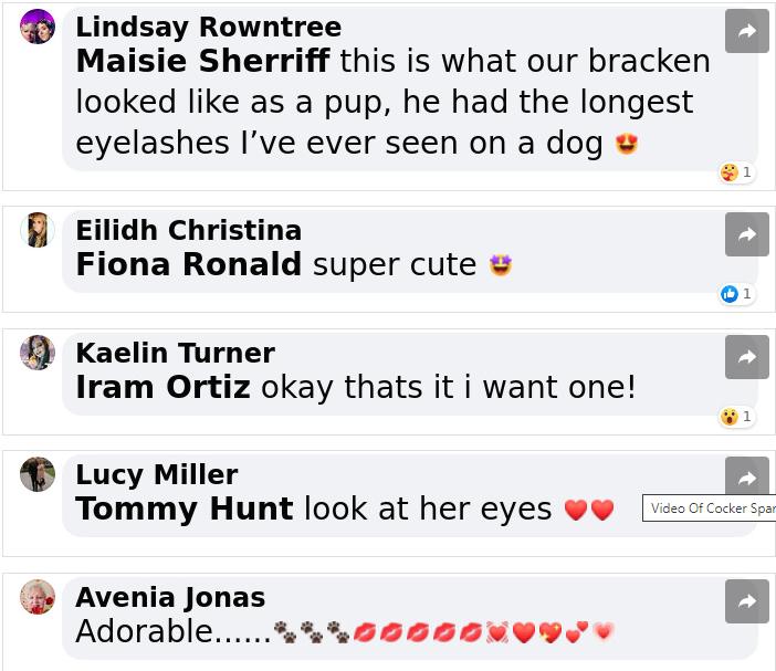 Her eyes are irresistible...