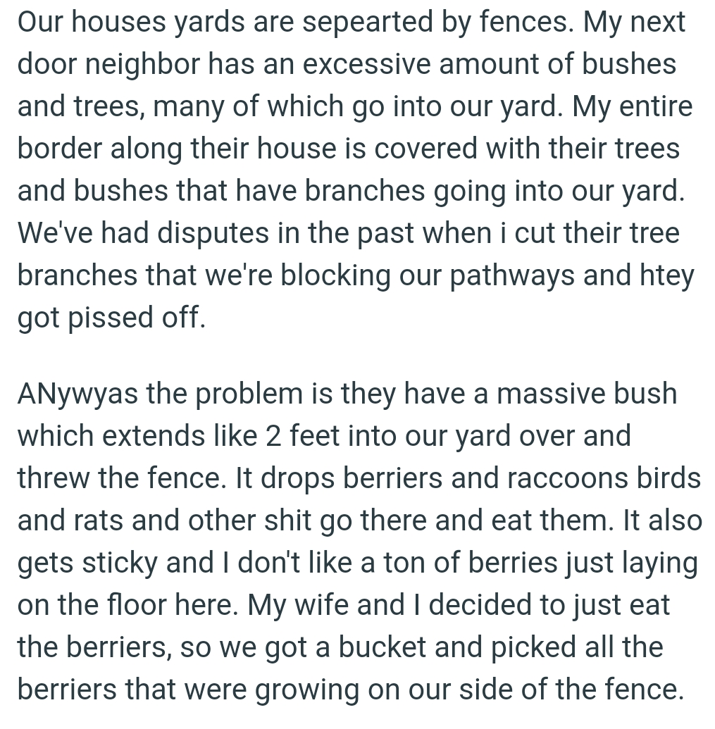 Their house is covered with their trees and bushes that have branches going into the OP's yard