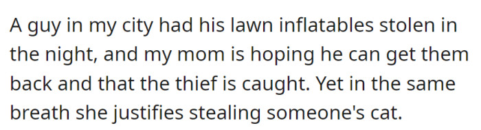 While hoping for the retrieval of stolen inflatables and the capture of the thief in the city, her mom paradoxically justifies the act of taking someone's cat.