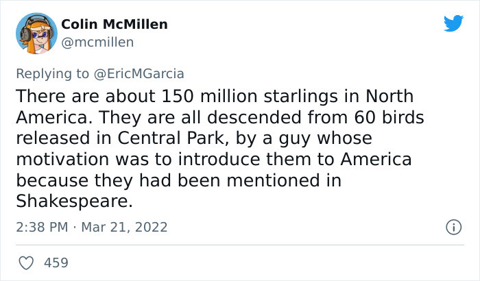 30. Starlings don't waste time...