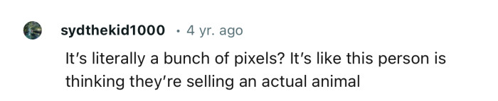 The person hasn’t realized that their making a fuss about a bunch of pixels