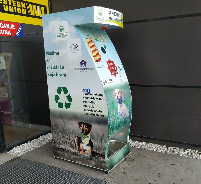 31. A Town In Serbia Started Using Recycling Machines That Also Feed Stray Dogs