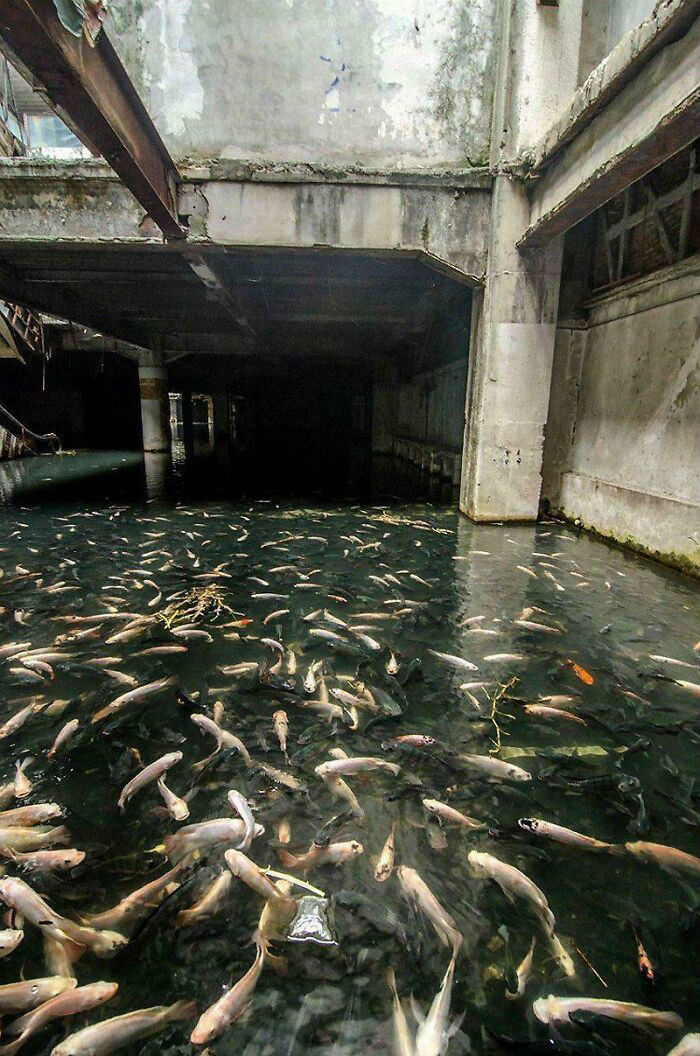 Abandoned Mall In Bangkok Thailand