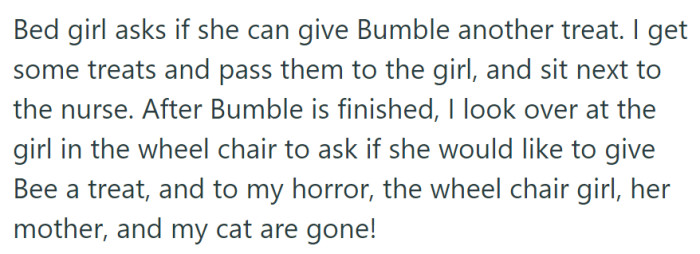 While giving treats to Bumble, she turned to offer Bee a treat to the girl in the wheelchair, only to find that she and her mother had vanished along with the cat.