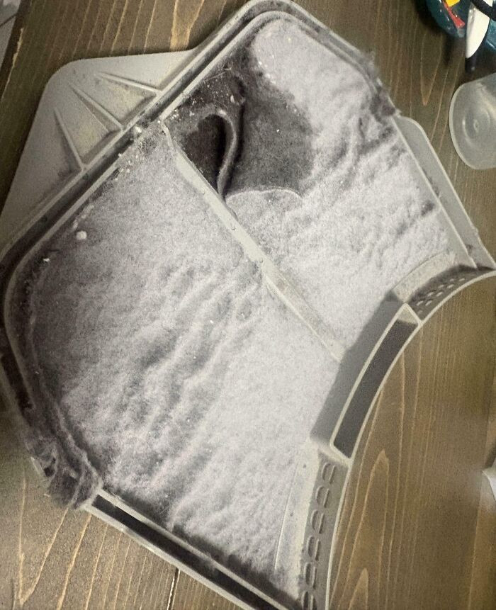 "Family Refuses To Acknowledge That The Lint Trap Needs Emptying"