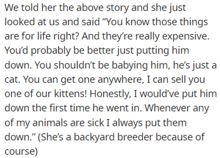 OP told this to her MIL, and she said that they should just put the cat down