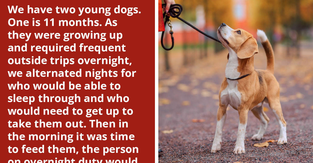 Husband Wants To Have Wife Take On The Dog Responsibility In The Morning But Wants To Know If It's A Fair Ask