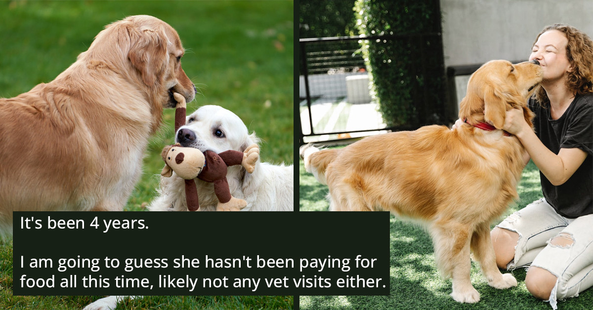 Woman Accuses Her Sibling Of Stealing Her Dog, Even After Giving It Up And Never Coming Back For It