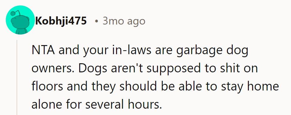 NTA. In-laws are terrible dog owners; dogs shouldn’t soil floors or need constant supervision.