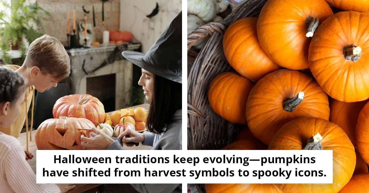 The Hidden Risks Of Halloween Traditions For Wildlife