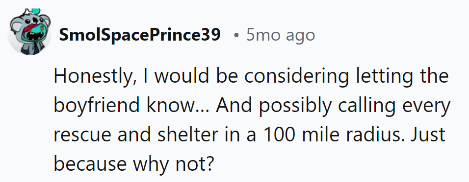 Looks like someone's dialing up the drama—and the rescues! Keeping it spicy for the boyfriend, one meow at a time.
