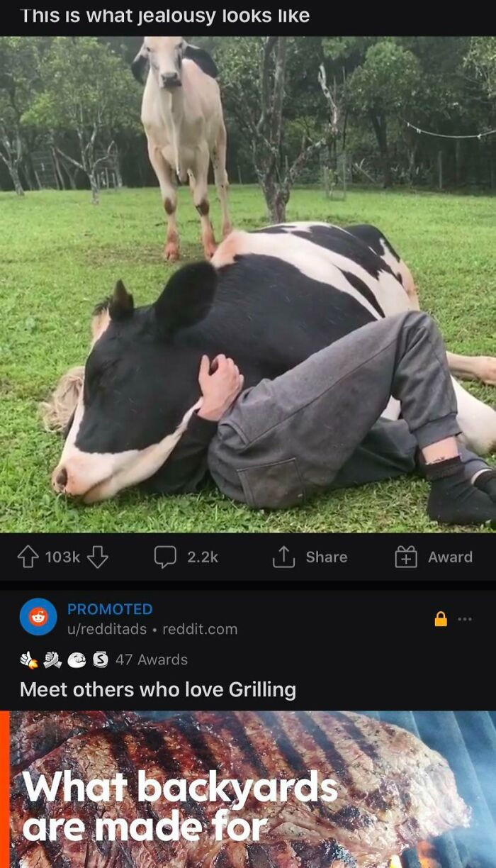 "So Tender"