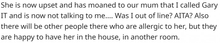 OP called her sister's boyfriend IT