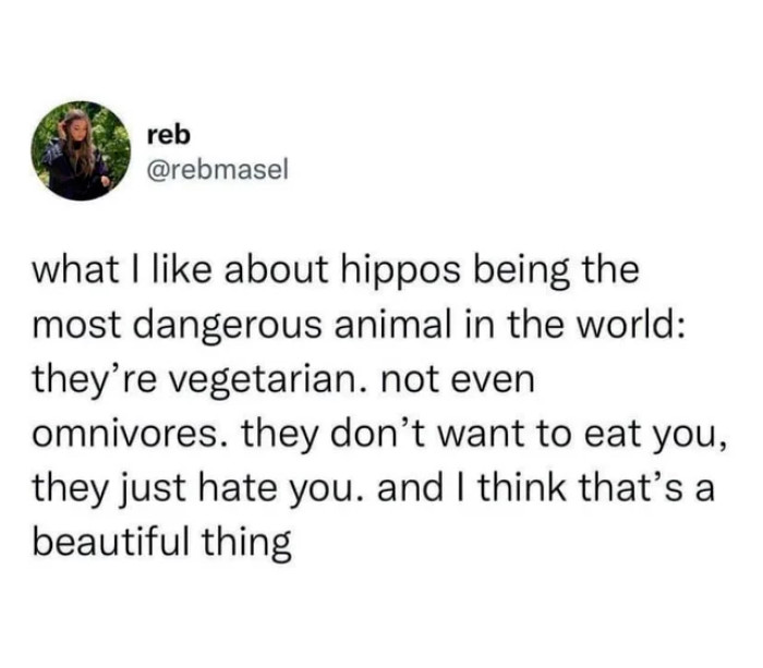 8. They just hate you...