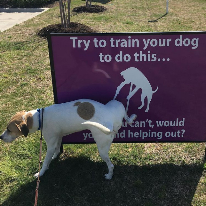 18. When you have a petty owner.