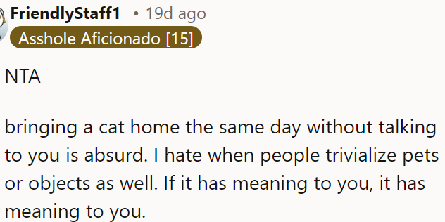 Bringing a cat home without discussing it is absurd.