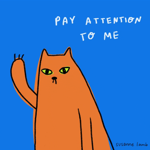 13. A self-proclaimed attention lover