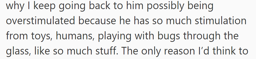 She suspects the cat is overstimulated due to the abundance of toys, human interaction, and bug chasing through glass.