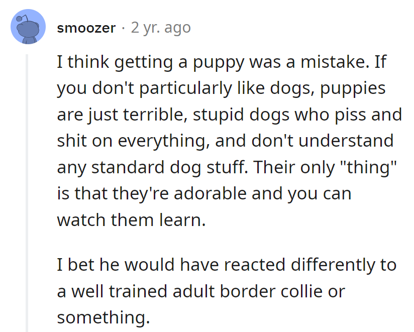 Puppies: adorable chaos in furry form! Next time, consider the pre-trained edition for less mess, more finesse.