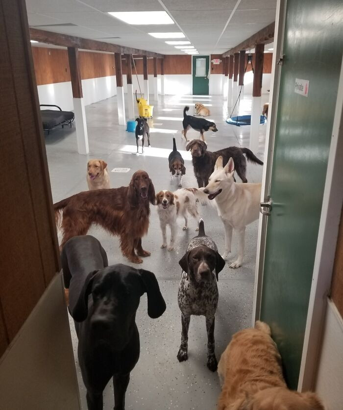 20. Insanely Jealous Of My Wife's New Working Conditions