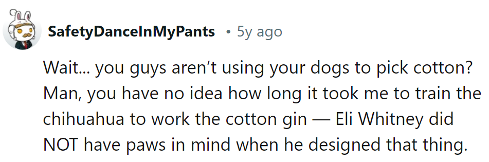 Well, now that's a twist in canine career paths! Who knew chihuahuas had such gin-ius potential?