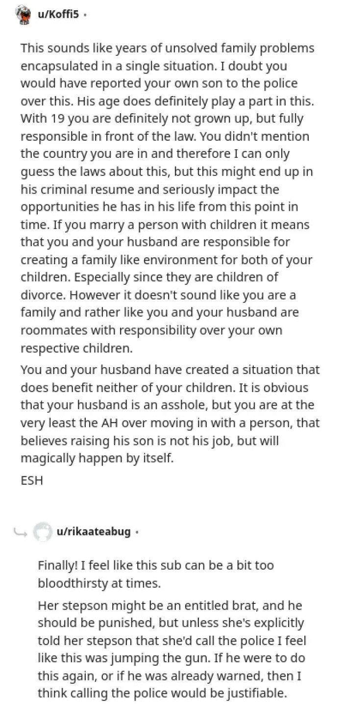 A Redditor believes that reporting her stepson to the police was a rash decision.