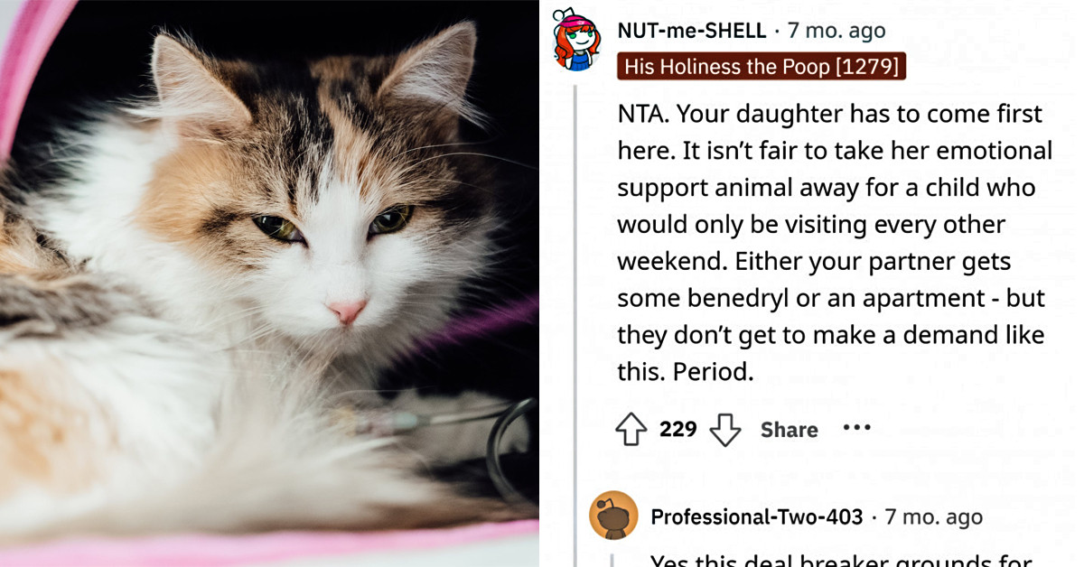 Dad Asks Reddit Community If He Was Wrong For Not Getting Rid Of Her Daughter's Pet Knowing His Stepson's Allergy