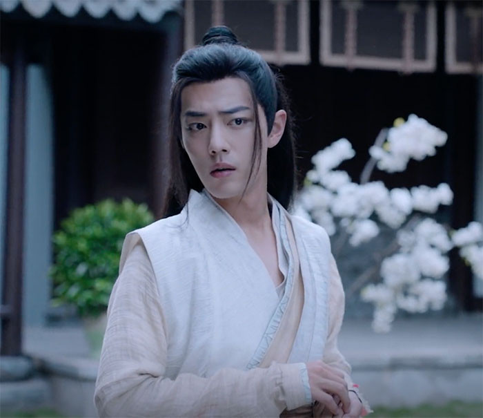 Wei Wuxian - The Untamed