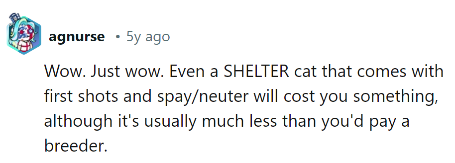 Even shelter cats come with a price tag. Guess they didn't get the memo about freebies being a myth.
