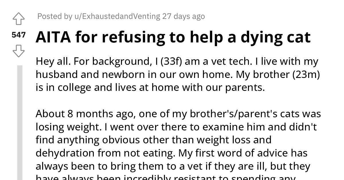 Woman Refuses To Help Her Family's Dying Cat Because They Didn't Listen To Her