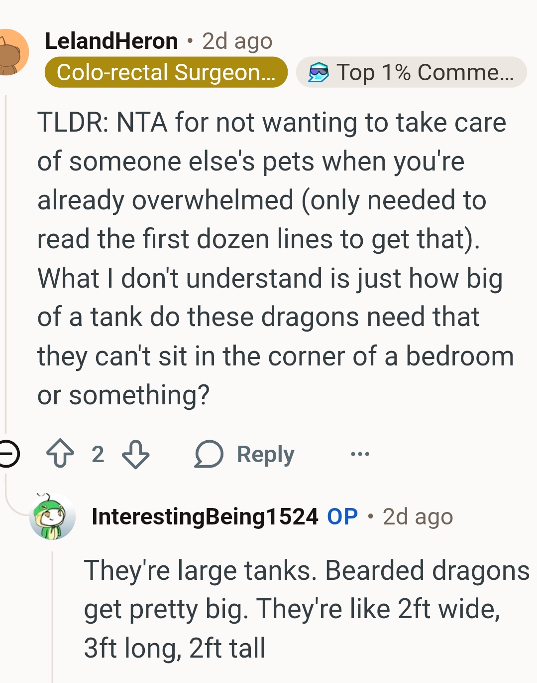 Bearded Dragons Get Pretty Big