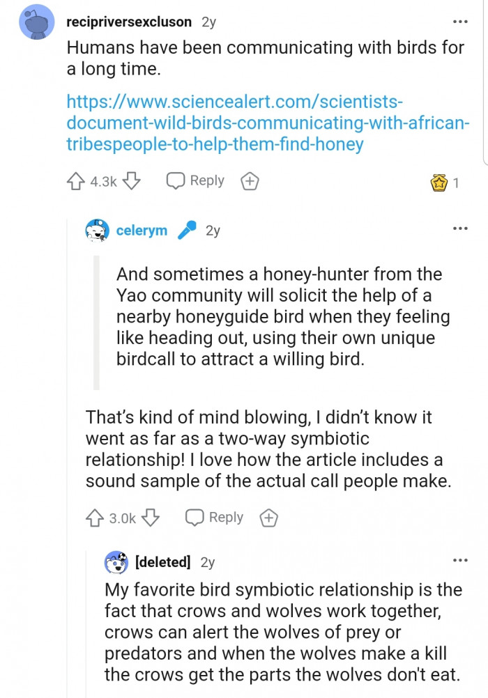 Human-bird communication has been happening under the radar for a very long time