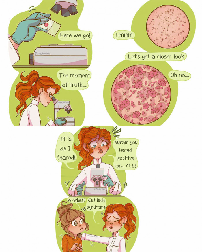 18. Now you certainly have a cat lady syndrome