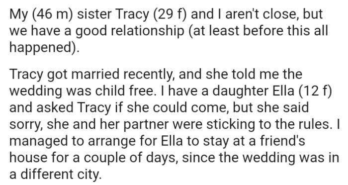OP's Sister Got Married Recently, and She Told the OP That the Wedding Was Child-Free