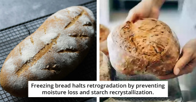 Experts Reveal The Big Mistake People Make With Sourdough Bread