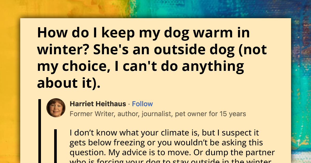 People Share Valuable Insights To Ensuring Your Outdoor Pooch Stays Warm Through Winter’s Chill