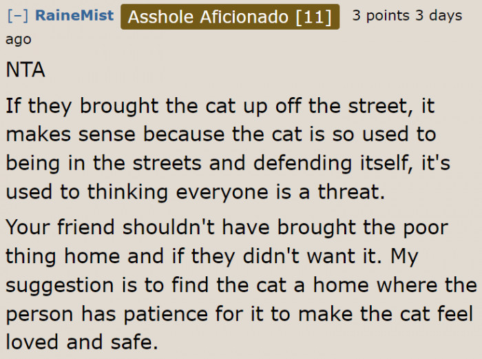 Maybe it's also time to find a person who can train it and has the time to care for the feline.