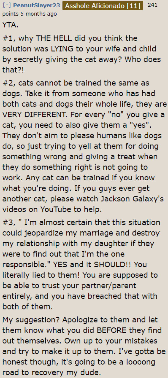 The OP needs to own up to his mistakes by admitting it to his wife and daughter. And maybe he can bring the cat back.