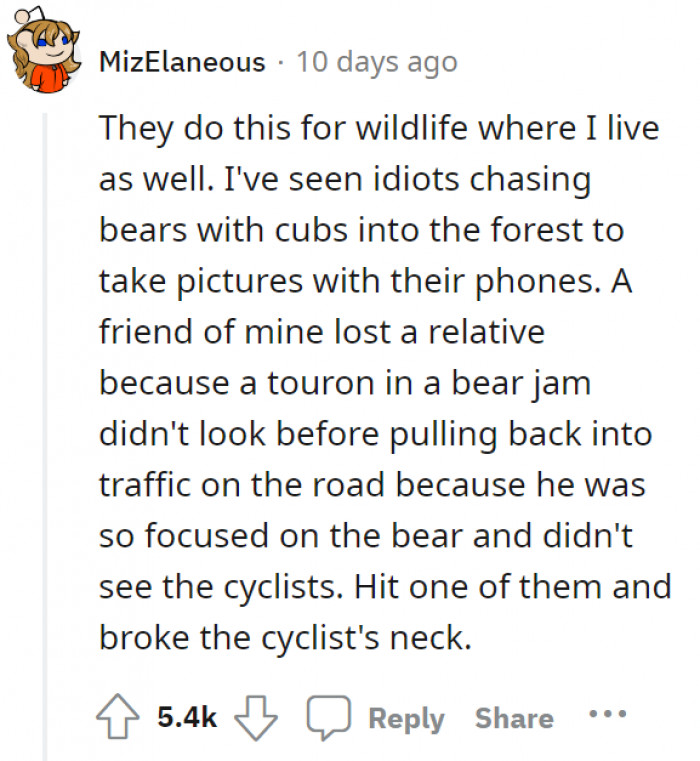 8. Acting like a Nat Geo photographer.