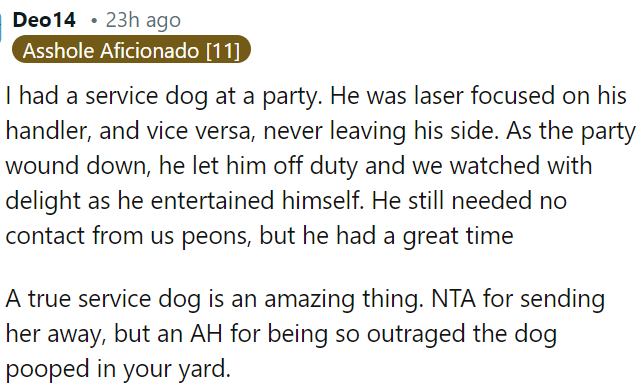 Service dogs are remarkable.