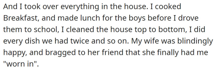 OP reduced his working hours and started doing everything around the house and with the boys